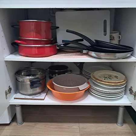 Rabbit 또레비에하